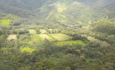 Venta hacienda zona de Intag, sector Santa Rosa, Cotacachi.