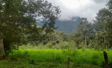 Venta hacienda zona de Intag, sector Santa Rosa, Cotacachi.