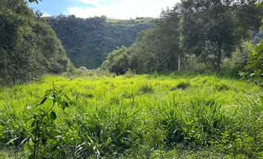 Venta hacienda zona de Intag, sector Santa Rosa, Cotacachi.