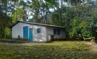 Venta hacienda zona de Intag, sector Santa Rosa, Cotacachi.