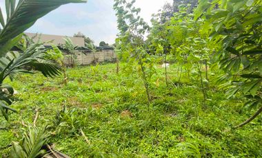 Tanah Sewa di Tarumanegara Pakuan 1 Tajur Per Tahun