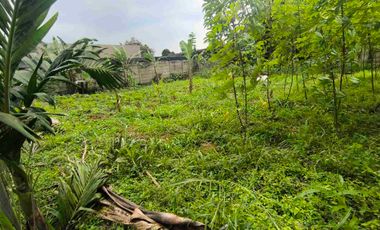 Tanah Sewa di Tarumanegara Pakuan 1 Tajur Per Tahun