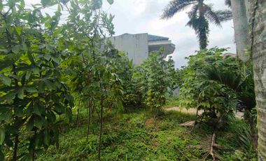 Tanah Sewa di Tarumanegara Pakuan 1 Tajur Per Tahun