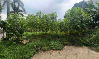 Tanah Sewa di Tarumanegara Pakuan 1 Tajur Per Tahun