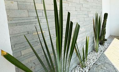 RENTA DE CASA EN COTO AVELLANO VALLE IMPERIAL ZAPOPAN JAL.