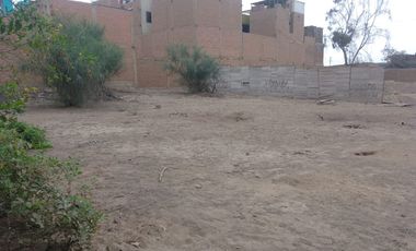 VENTA DE TERRENO EN PUENTE PIEDRA (OVALO ZAPALLAL)