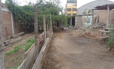 VENTA DE TERRENO EN PUENTE PIEDRA (OVALO ZAPALLAL)