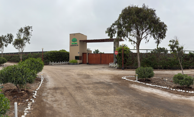 DUAL – 1157  Venta de Terreno para Casa de Campo – Condominio Praderas del Sur, Mala