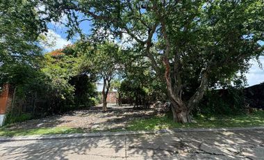 Precioso terreno plano