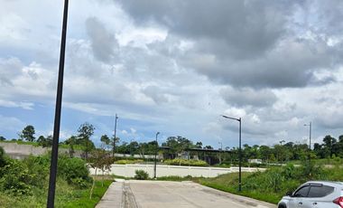 Southmont Ayala’s Exclusive Hillside Township  for only 30,000/month you can own a Low density community from Ayala