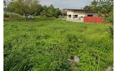 RUSH SALE LOT ONLY AT VILLA LUCASAN, BACOLOD CITY