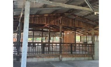 ทรัพย์ บสส. รหัส 3A1941 บ้านเดี่ยว ตาก