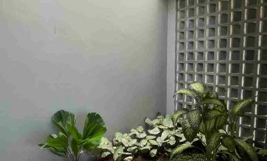 Rumah 2 Lantai BSD Dekat Tol & Stasiun | Type Mahoni Promo Free DP & Free Biaya