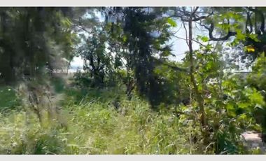 TERRENO EN VENTA TALA SAN ISIDRO MAZATEPEC