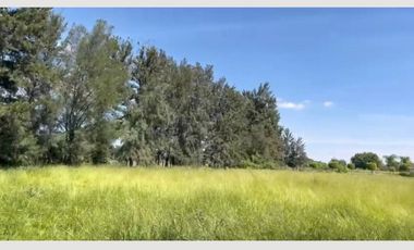 TERRENO EN VENTA TALA SAN ISIDRO MAZATEPEC