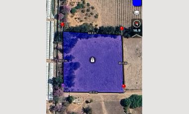 TERRENO EN VENTA TALA SAN ISIDRO MAZATEPEC