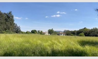 TERRENO EN VENTA TALA SAN ISIDRO MAZATEPEC