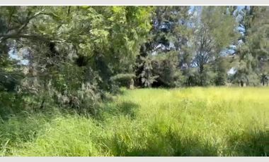 TERRENO EN VENTA TALA SAN ISIDRO MAZATEPEC