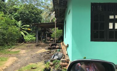 Tanah Strategis Wates Kulonprogo