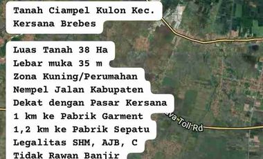 Tanah ploting kuning cocok untuk perumahan