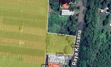 Tanah ploting kuning cocok untuk perumahan