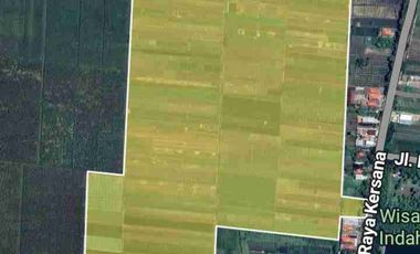 Tanah ploting kuning cocok untuk perumahan