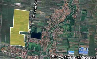 Tanah ploting kuning cocok untuk perumahan