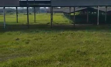 jual tanah 12.500 m ,  Cibitung , tanah rata ex pabrik