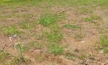 tanah ploting industri murah satu SHM di batang