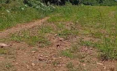 tanah ploting industri murah satu SHM di batang