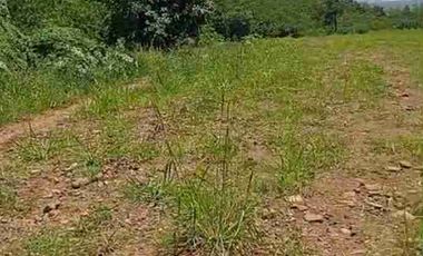 tanah ploting industri murah satu SHM di batang