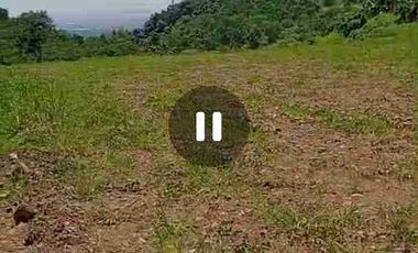 tanah ploting industri murah satu SHM di batang