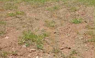 tanah ploting industri murah satu SHM di batang