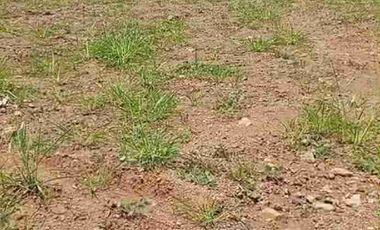 tanah ploting industri murah satu SHM di batang