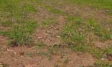 tanah ploting industri murah satu SHM di batang