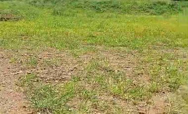 tanah ploting industri murah satu SHM di batang