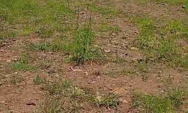 tanah ploting industri murah satu SHM di batang