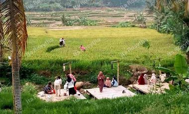 Jual Tanah Kavling Agroeduwisata Ada Kolam Renang nya,udara Sejuk cocok untuk Villa dan Rumah Hunian Tanjungsari Bogor Timur.