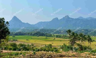 Jual Tanah Kavling Agroeduwisata Ada Kolam Renang nya,udara Sejuk cocok untuk Villa dan Rumah Hunian Tanjungsari Bogor Timur.