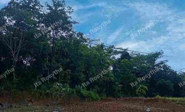 Jual Tanah Kavling Agroeduwisata Ada Kolam Renang nya,udara Sejuk cocok untuk Villa dan Rumah Hunian Tanjungsari Bogor Timur.