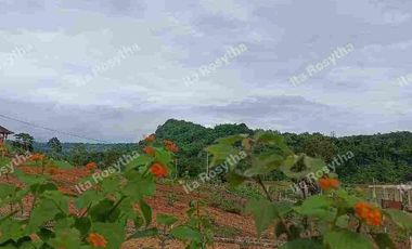 Jual Tanah Murah Lokasi Wisata Asri Pedesaan di Tanjung Sari Bogor timur, Lingkungan Pedesaan ASRI DAN NYAMAN,View Perbukitan Persawahan.