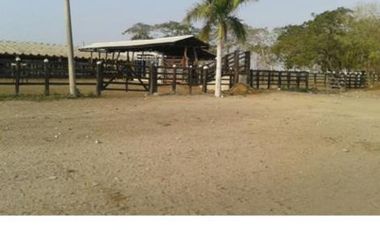 FINCA - PUERTA CERRADA - GRAN OPORTUNIDAD DE INVERSIÓN AGROINDUSTRIAL – PONEDERA