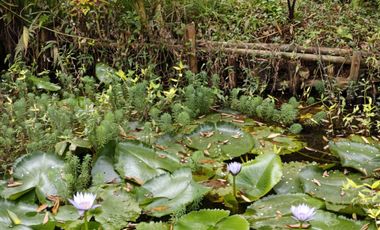 Lokasi Yang Strategis untuk Wisata di Lembang Sudah ada Ijin KBU, Jl. Kolonel Masturi