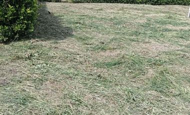 Venta de lote 1.800 m² en Alcalá – Parcelación Terrabella