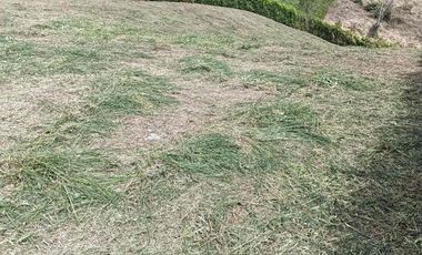 Venta de lote 1.800 m² en Alcalá – Parcelación Terrabella