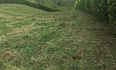 Venta de lote 1.800 m² en Alcalá – Parcelación Terrabella