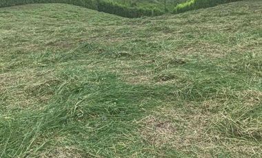 Venta de lote 1.800 m² en Alcalá – Parcelación Terrabella