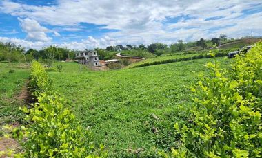 Venta de lote 1.800 m² en Alcalá – Parcelación Terrabella