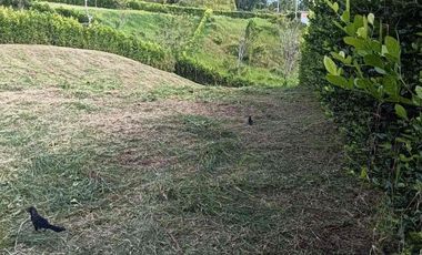 Venta de lote 1.800 m² en Alcalá – Parcelación Terrabella