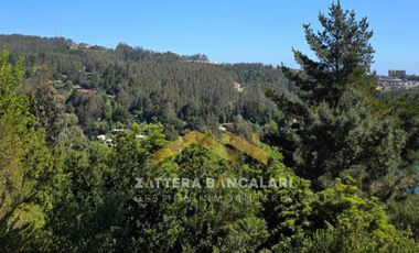 DEPARTAMENTO VISTAS LAGUNA IDAHUE